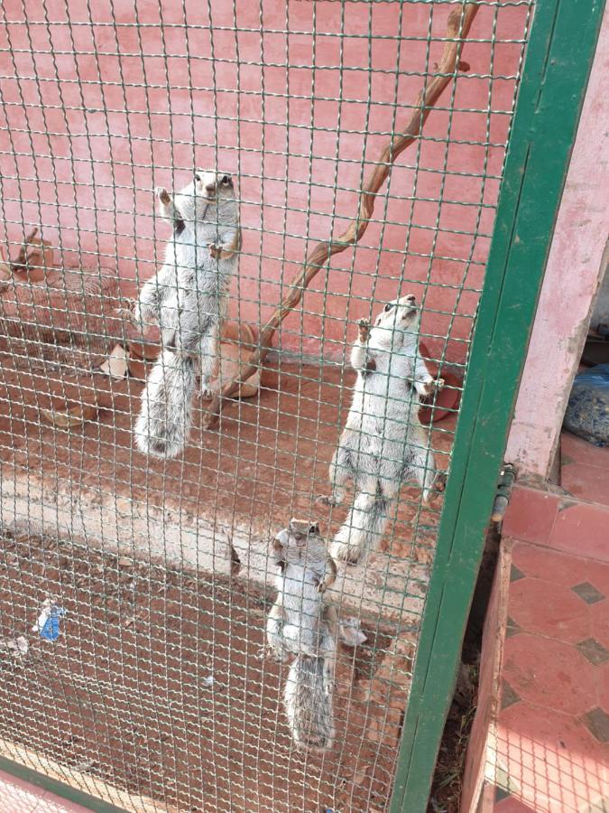 Ferme Bouhouch Apartamento Oulad Yakoub Exterior foto