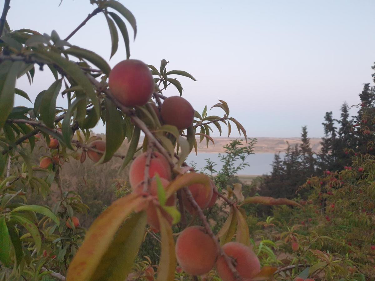 Ferme Bouhouch Apartamento Oulad Yakoub Exterior foto