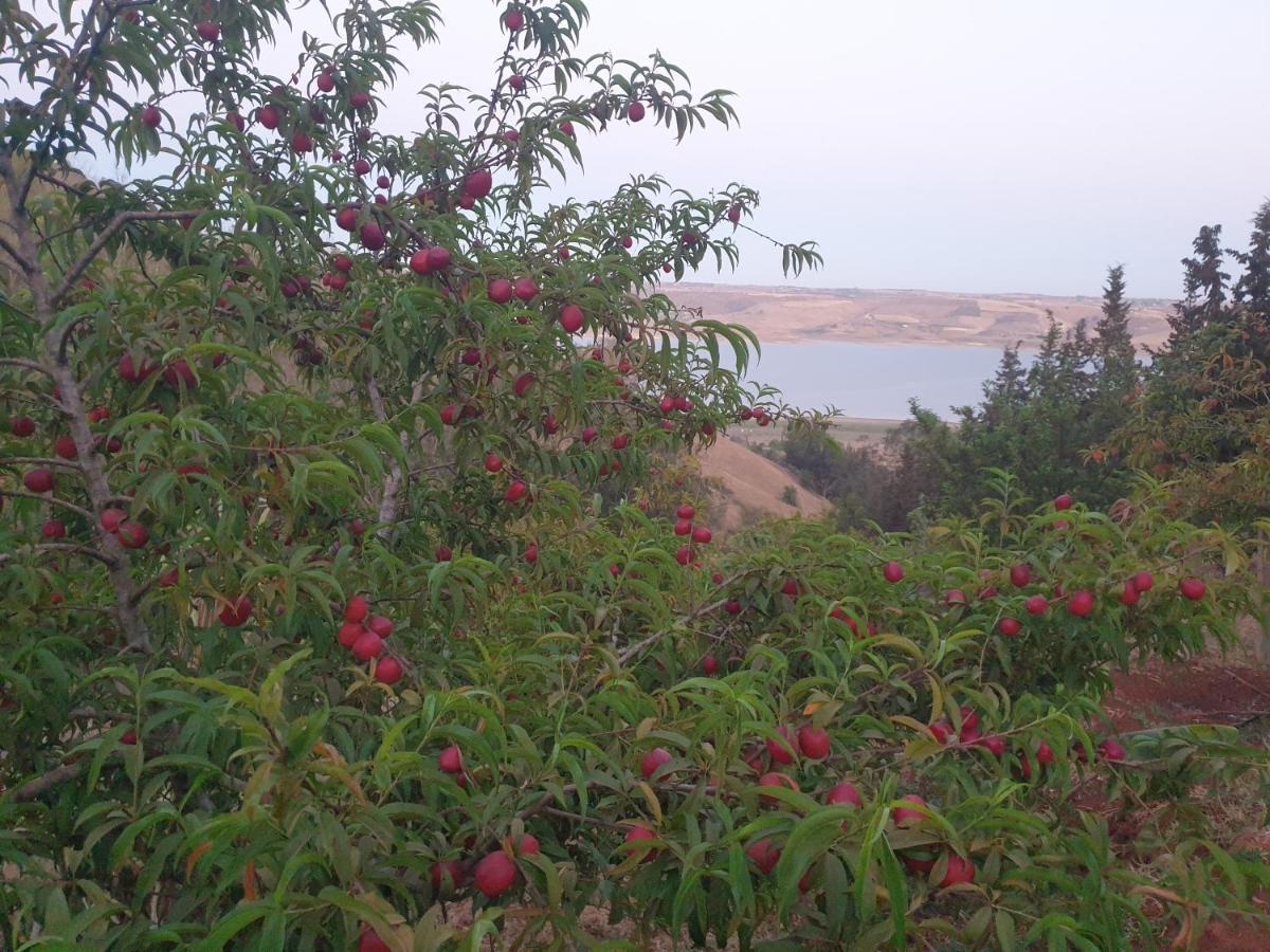 Ferme Bouhouch Apartamento Oulad Yakoub Exterior foto
