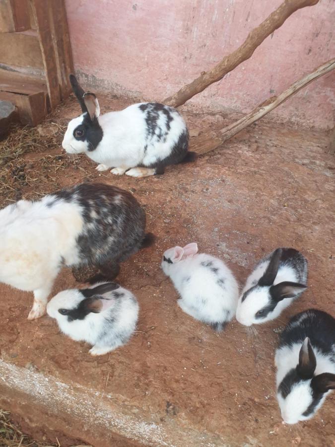 Ferme Bouhouch Apartamento Oulad Yakoub Exterior foto